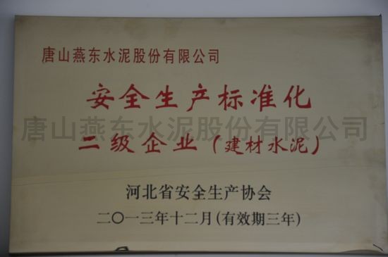 安全生產標準化二級企業（建材水泥）